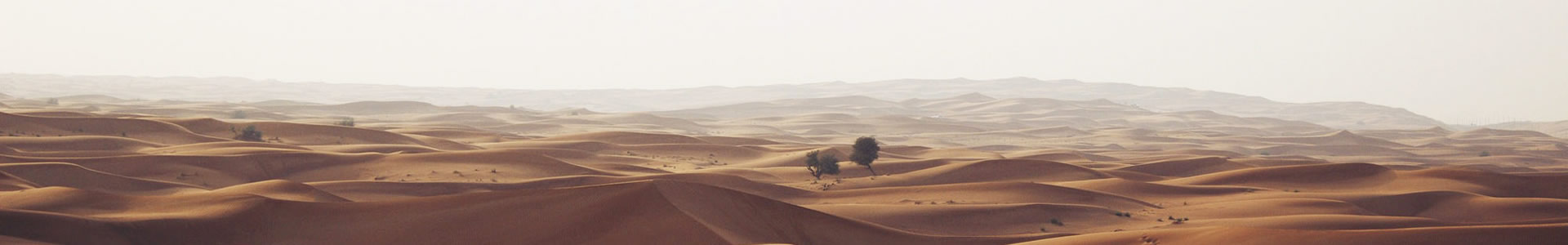 ϾӿƼ޹˾